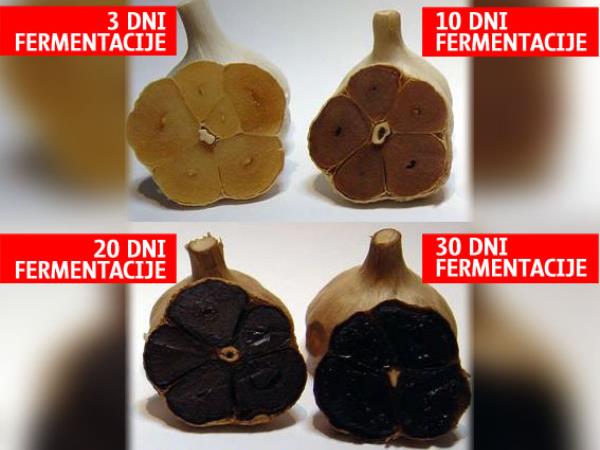 Odkrijte fenomen črnega česna